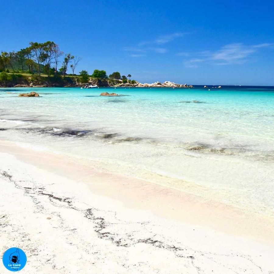 Joli Studio Maisonnette A 100M De La Plage بورْتِكْسْيو المظهر الخارجي الصورة